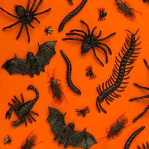 Creepy Crawly and Animal Themed Halloween Decorations