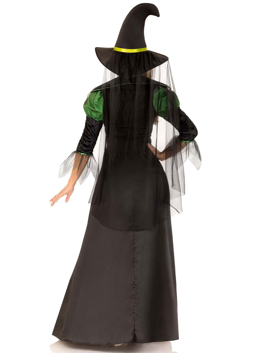 Green Spellcaster Women's Storybook Witch Halloween Costume - Back Image