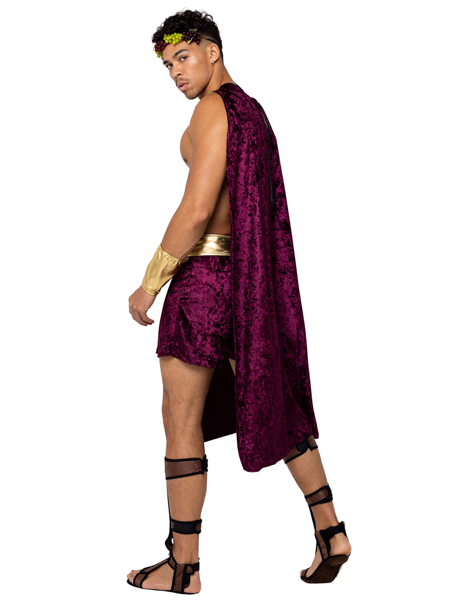 God Of Wine Mens Sexy Roman Costume - Back Image